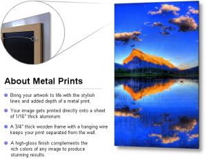 Metal Prints